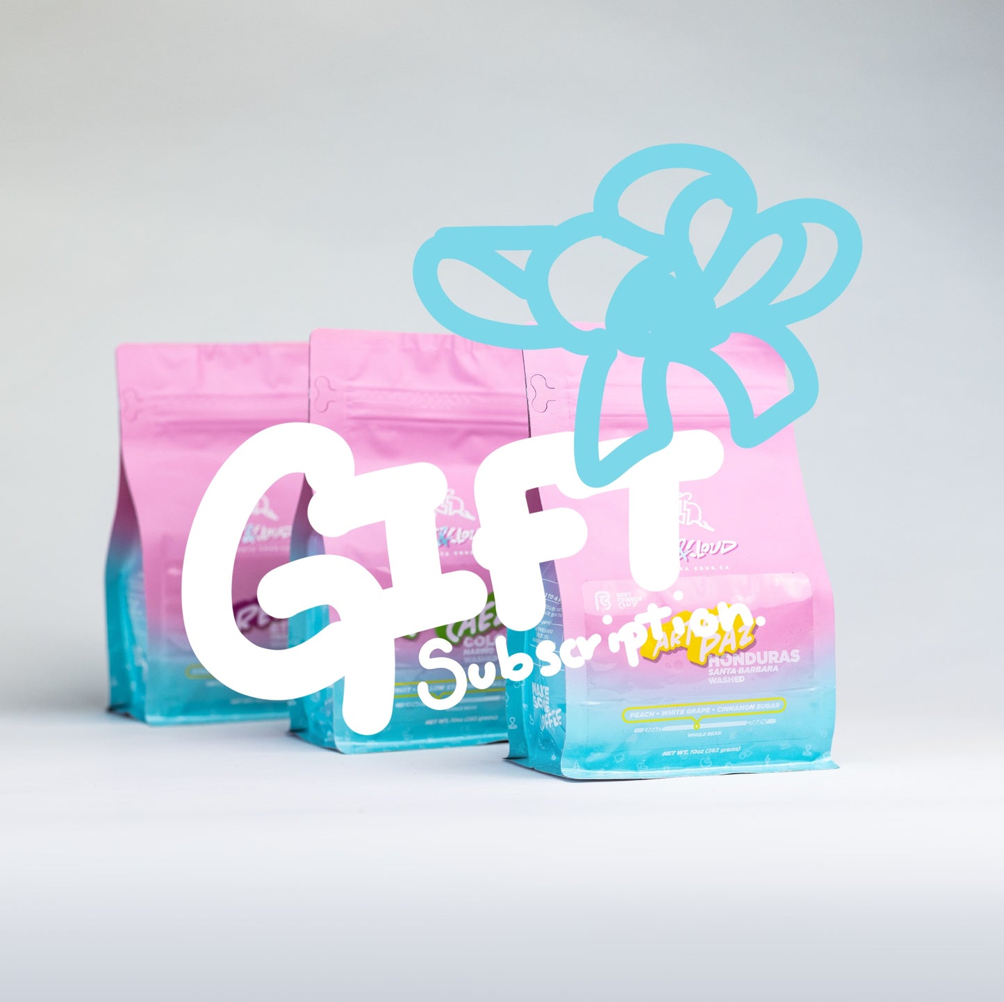 3 Month Gift Subscription | Monthly